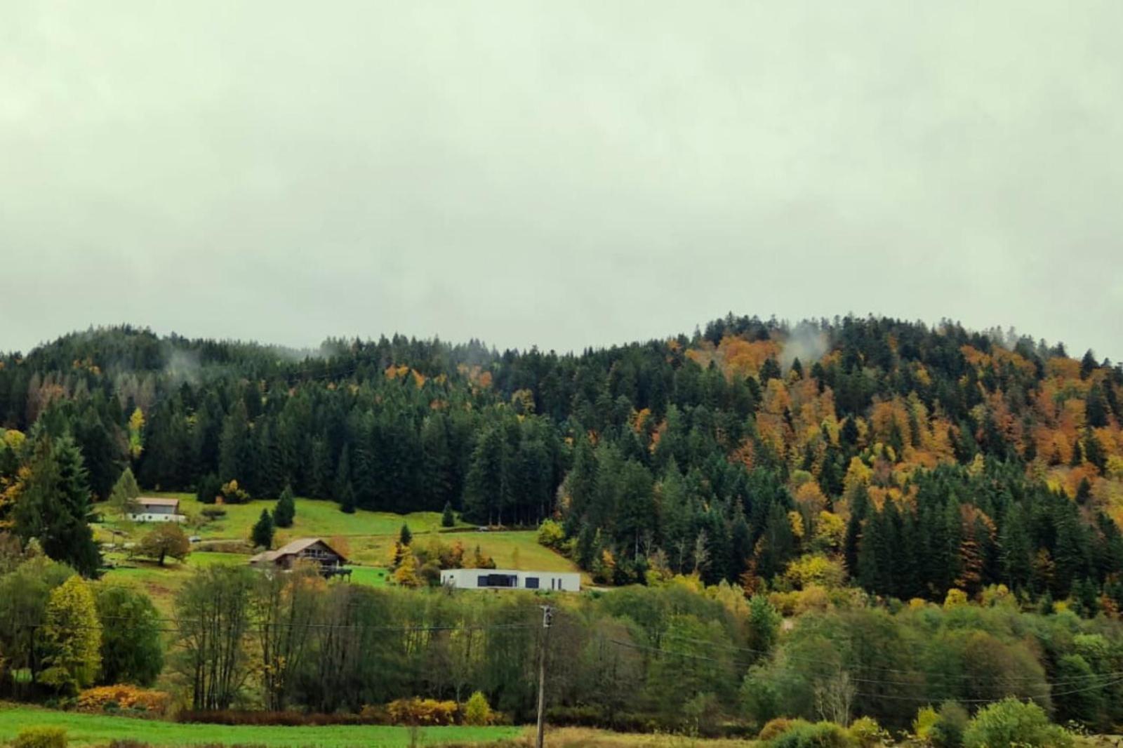 Le Vivaldi, Au Coeur Du Massif Vosgien Avec Terrain De Petanque Villa Rochesson Bagian luar foto
